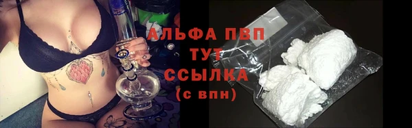 спиды Вязьма