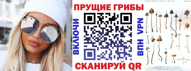 Псилоцибиновые грибы прущие грибы  Купить  Березники 