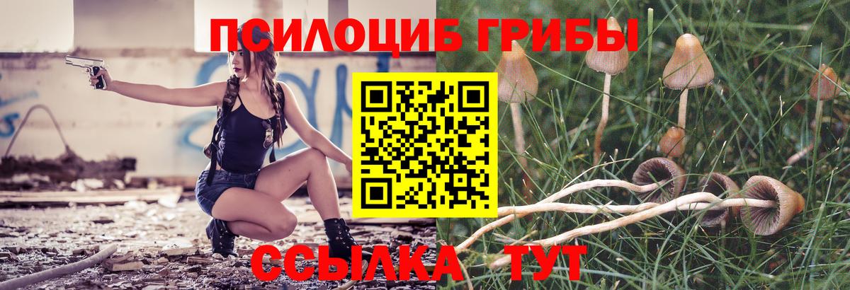 Березники  Галлюциногенные грибы прущие грибы  Вход с VPN  Псилоцибиновые грибы Cubensis 